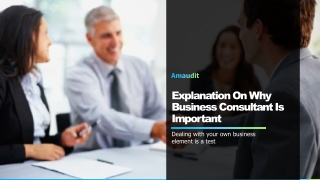Explanation On Why Business Consultant Is Important