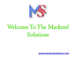 Digital Marketing Services and Development Company- Mackerel Solutions