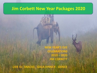 New Year 2020 Packages in Jim Corbett | New Year Party 2020 in Jim Corbett