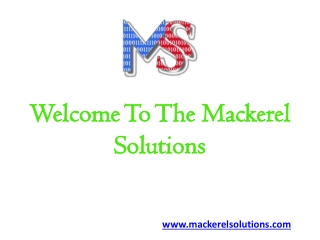 Digital Marketing Services and Development Company- Mackerel Solutions