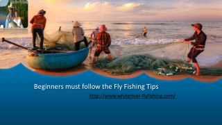 Beginners must follow the Fly Fishing Tips