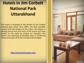Hotels in Jim Corbett National Park Uttarakhand