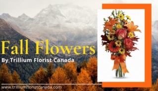 Fall Flowers By Trillium Florist Canada