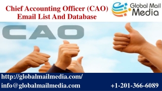 Chief Accounting Officer (CAO) Email List And Database