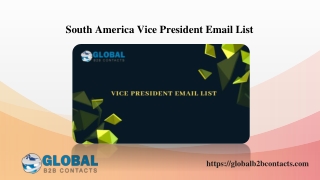South America Vice President Email List