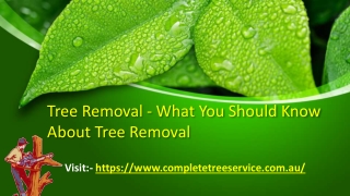Tree Removal - What You Should Know About Tree Removal