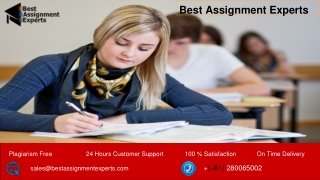 Assignment Experts |Assignment Writing Service