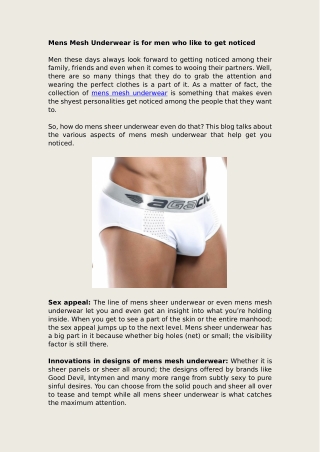 Mens Mesh Underwear is for men who like to get noticed