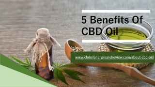 Benefits Of CBD Oil