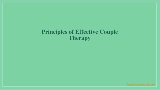 Principles of Effective Couple Therapy