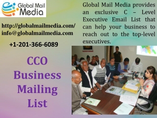 CCO Business Mailing List