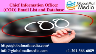 Chief Information Officer (COO) Email List and Database