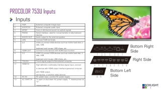 PROCOLOR 753U Inputs