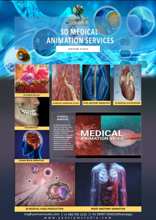 Architectural Medical Animation Services