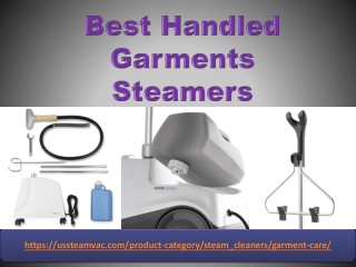 Best Handled Garments Steamers