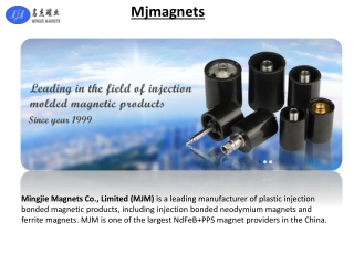 Best injection cerimic magnets supplied by China