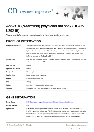 btk antibody