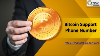 Bitcoin Support Number USA 1-833-313-7111