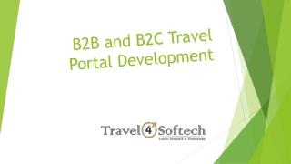 b2b and b2c travel portal development