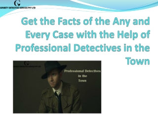 Professional Detectives in the Town