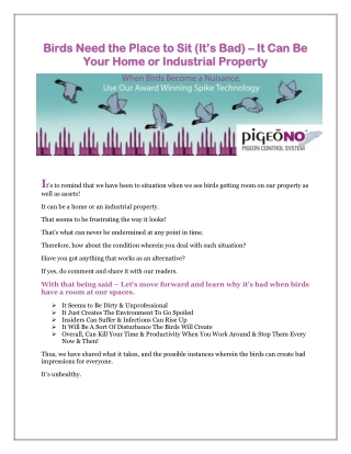 Birds Need the Place to Sit (It’s Bad) – It Can Be Your Home or Industrial Property