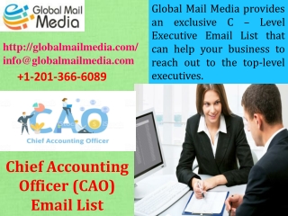 Chief Accounting Officer (CAO) Email List