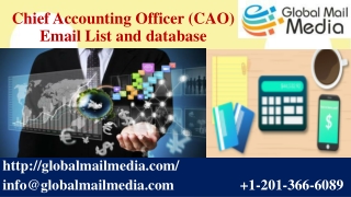 Chief Accounting Officer (CAO) Email List and database