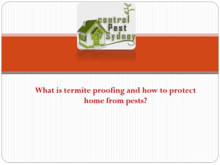 What is termite proofing and how to protect home from pests