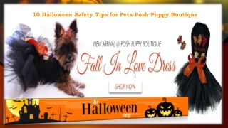10 Halloween Safety Tips for Pets-Posh Puppy Boutique