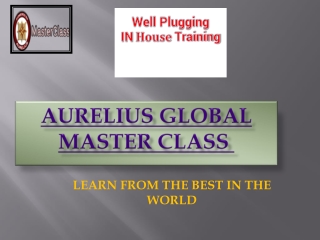 Well Plugging in house Training