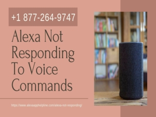 Resolve Alexa Not Responding to Voice Commands Issue Now!