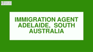 Visa Subclass 485 | Immigration Services Adelaide