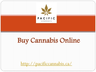 Buy Cannabis Online - pacificcannabis.ca