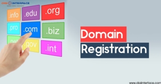 Domain Registration Services in Mumbai by Digi Interface