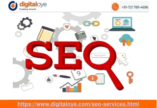 Best SEO Company in Delhi-DigitalOye