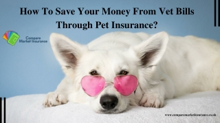 How To Save Your Money From Vet Bills Through Pet Insurance?