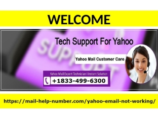 Yahoo Contact Help Number