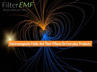 Electromagnetic Fields And Their Effects On Everyday Products