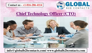 Chief Technology Officer (CTO)