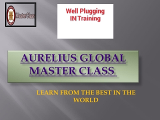 WELL PLUGGING TRAINING IN EUROPE