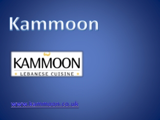 Lebanese Banquet Catering - www.kammoon.co.uk