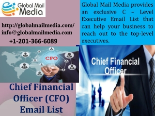 Chief Financial Officer (CFO) Email List