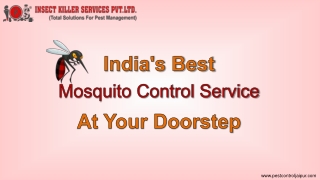 Mosquito Control Service Provider In Jaipur