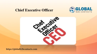 Chief Executive Officer