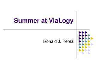 Summer at ViaLogy