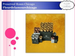 Preserved Roses Chicago