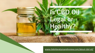 About CBD Oil