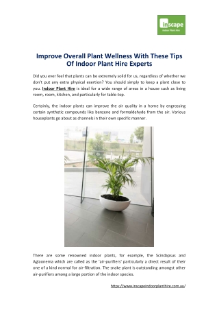 Improve Overall Plant Wellness With These Tips Of Indoor Plant Hire Experts