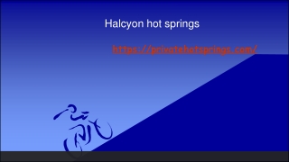 Halcyon hot springs