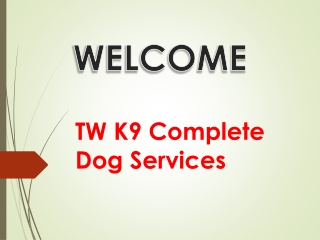 Dog Boarding Hounslow,